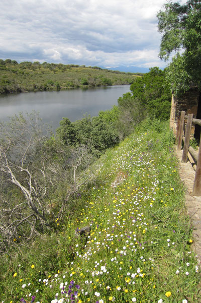 Portilla de Tiétar